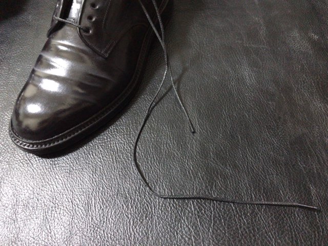 shoelace-single-4