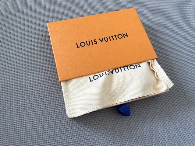 ルイ・ヴィトンの布袋リメイク】簡単な方法でポケットティッシュケース