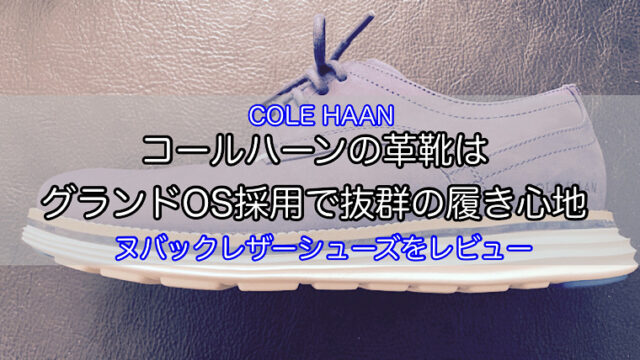 cole-haan-nubuck-shoes-1