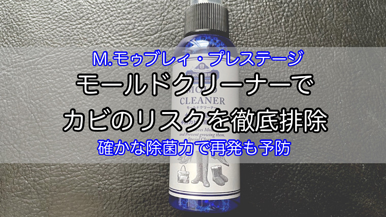 mold-cleaner-1