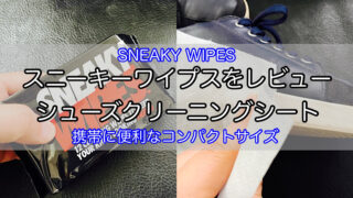 sneaky-wipes-1