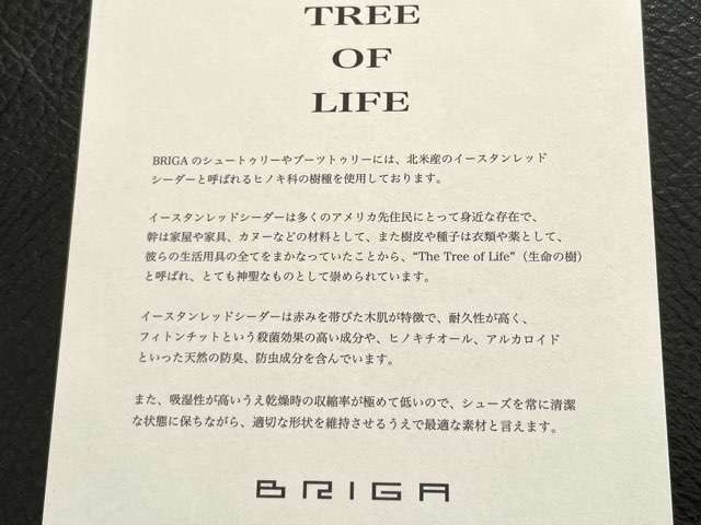 briga-shoe-tree-6