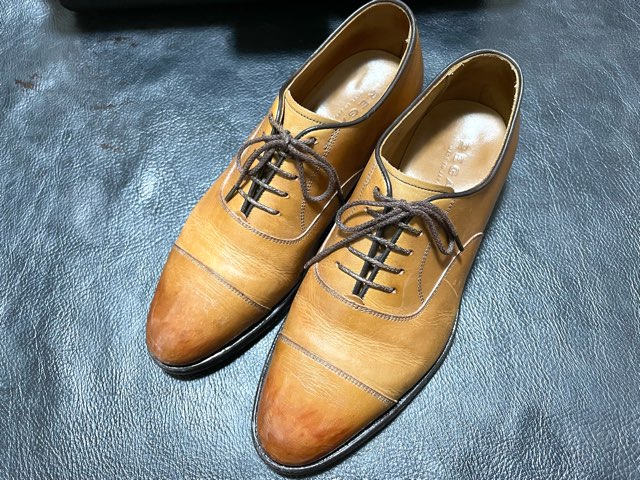regal-shoes-polish-6