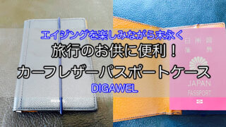 digawel-passport-case-1