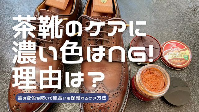 dark-color-brown-shoes-1