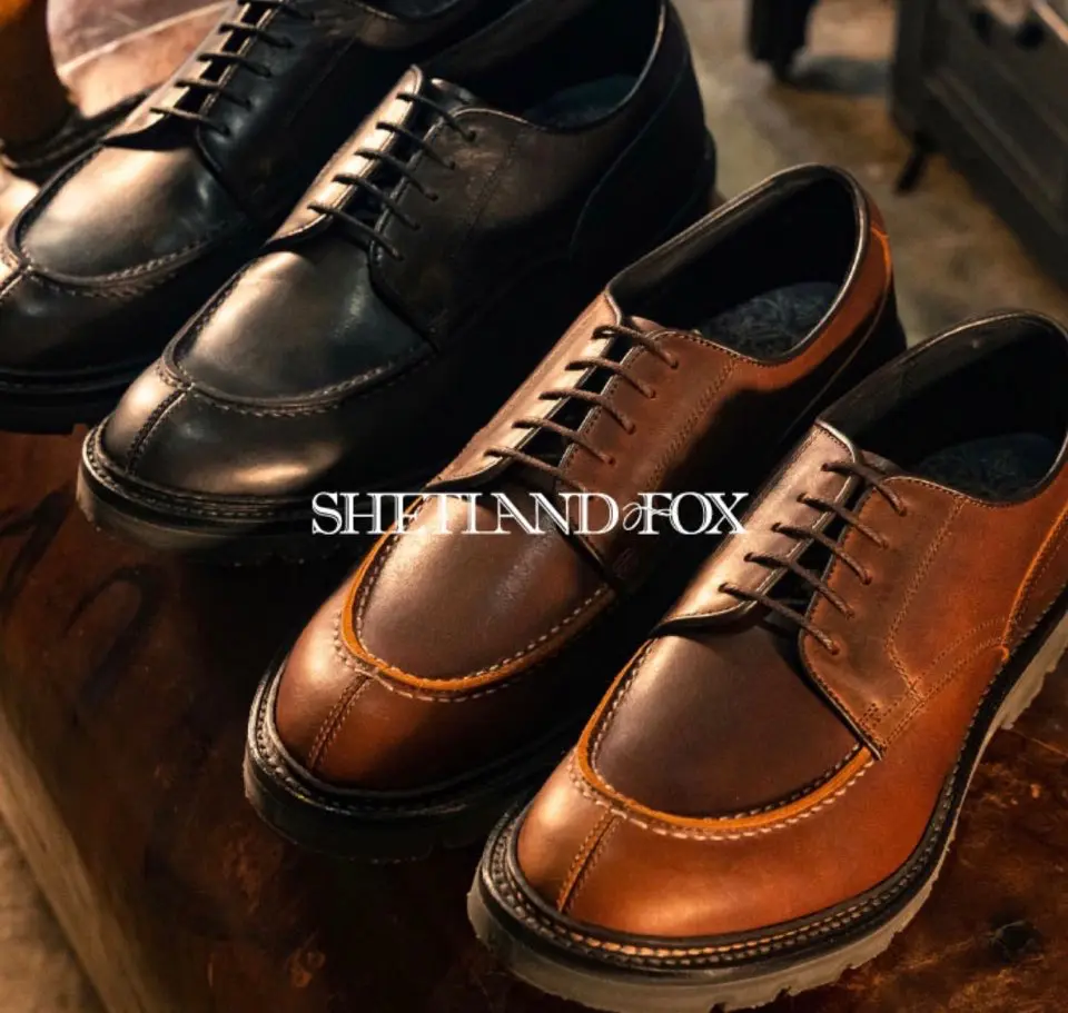 shetland-fox-4