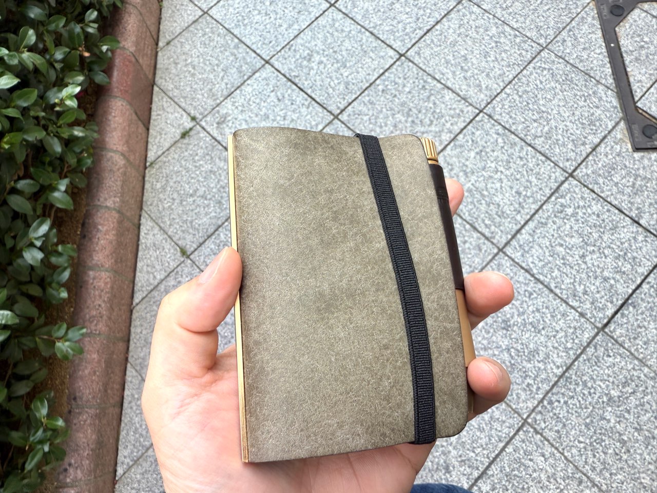 色味が絶妙のグリーン