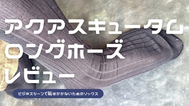 アクアスキュータムのロングホーズをレビューした記事のアイキャッチ