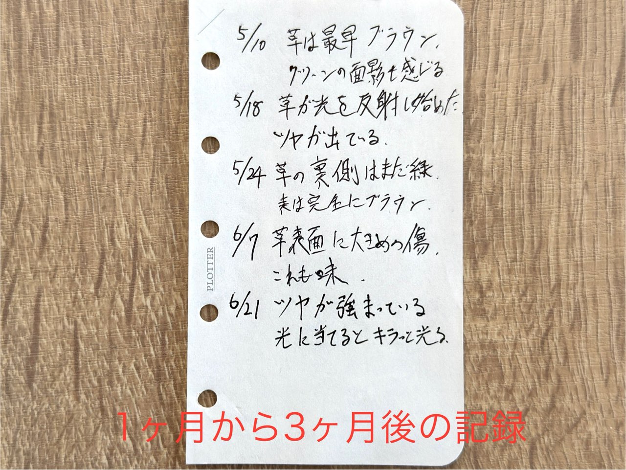 購入後1か月後から3か月後までのプエブロのエイジング記録