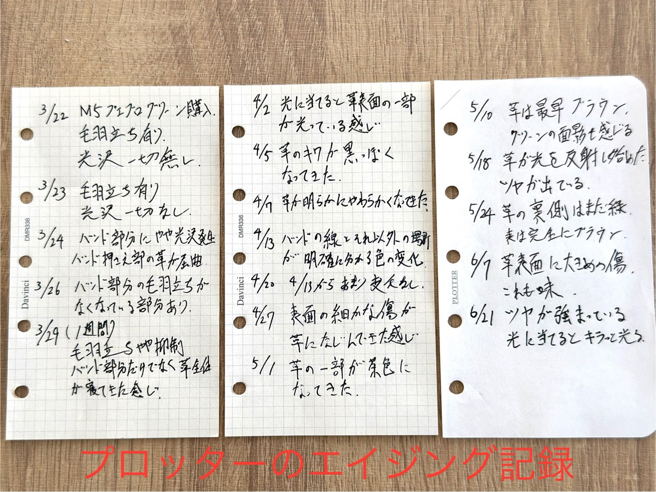 購入から3か月後までのプエブログリーンのエイジング記録