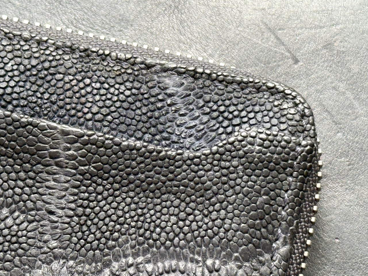 エイジングの差が分かる象革