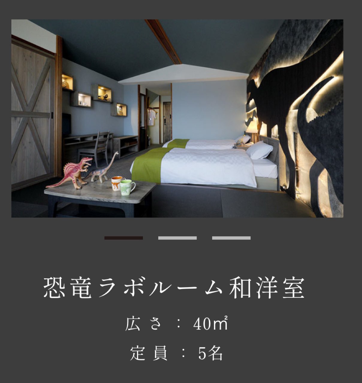 恐竜ラボルーム和洋室