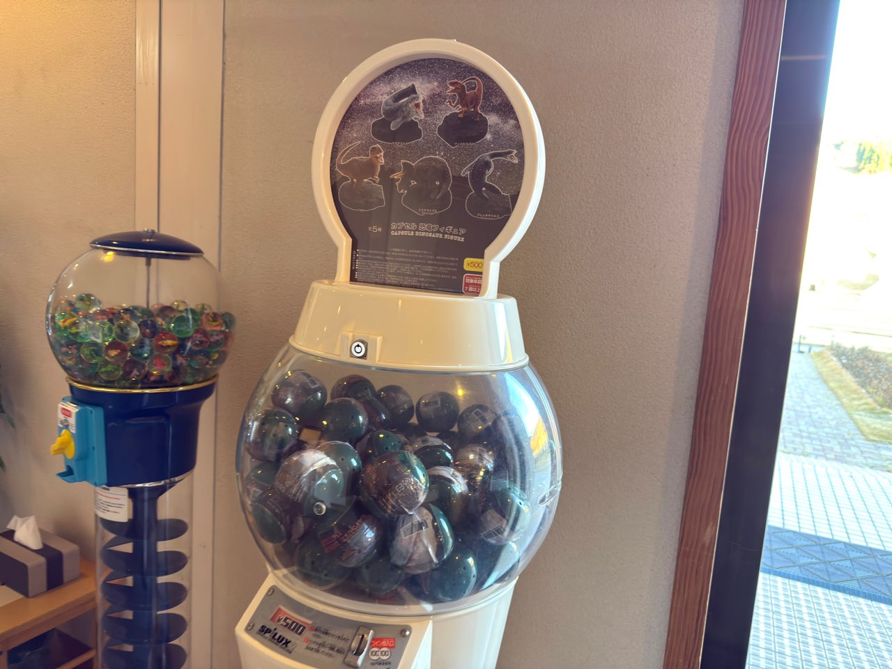 恐竜のガチャガチャ