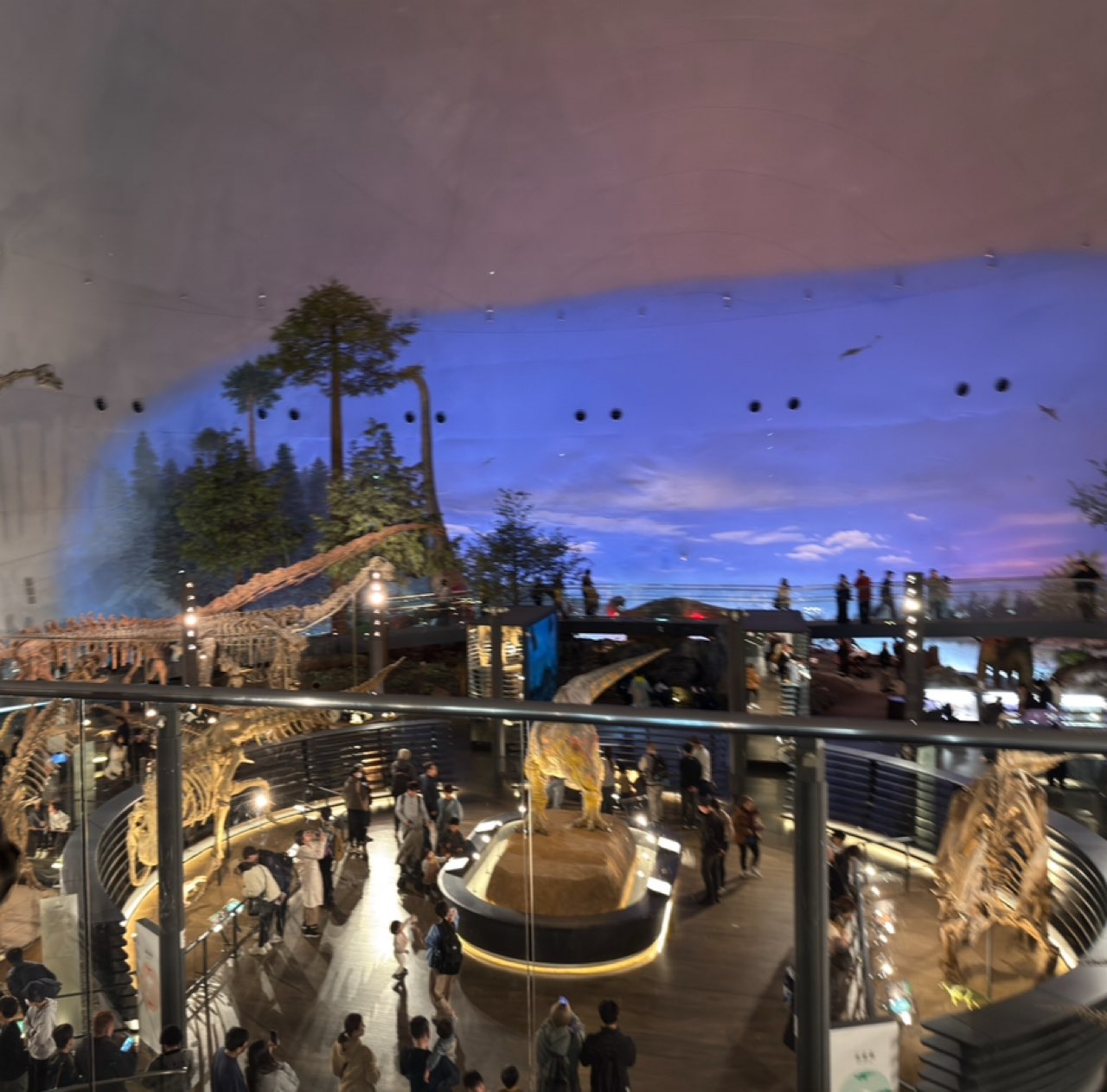 恐竜博物館の内観