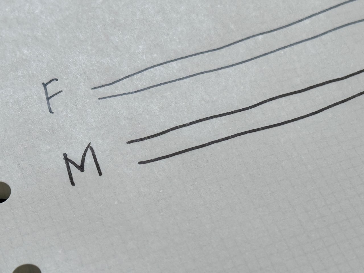 細字のFと太字のM