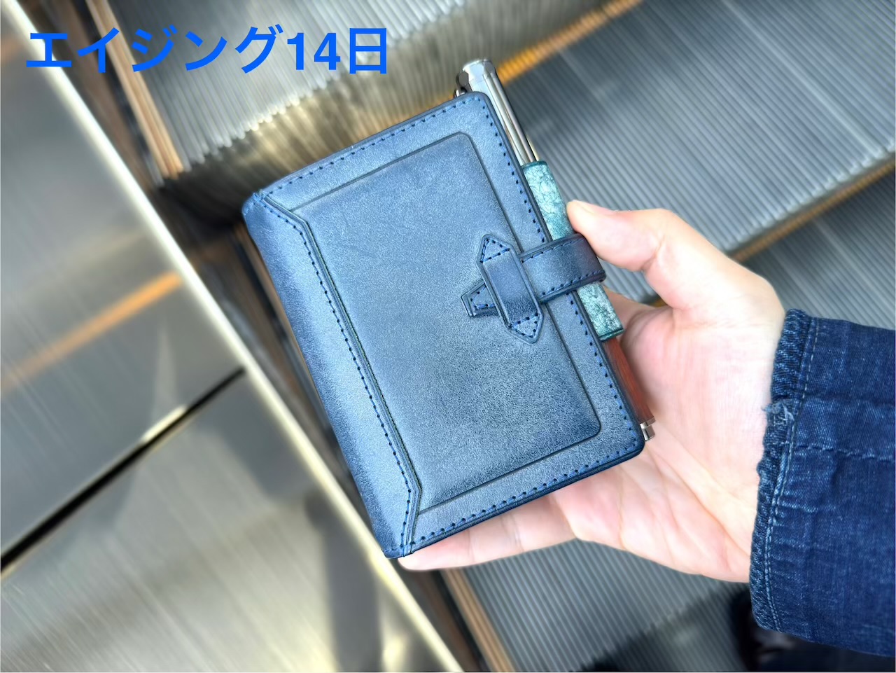 エイジング14日のロロマクラシック