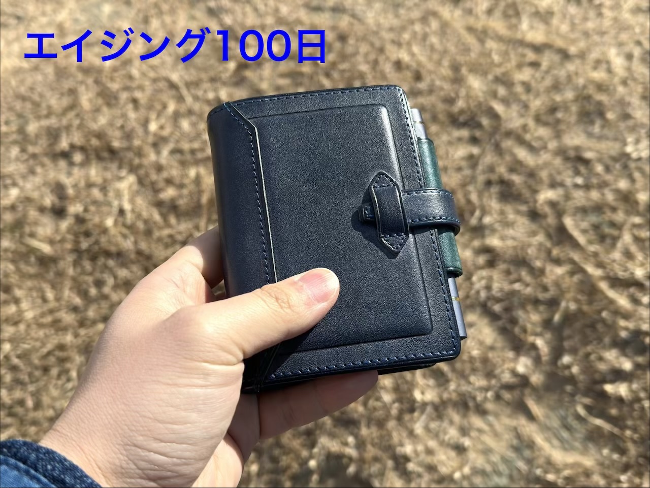 エイジング100日のロロマクラシック
