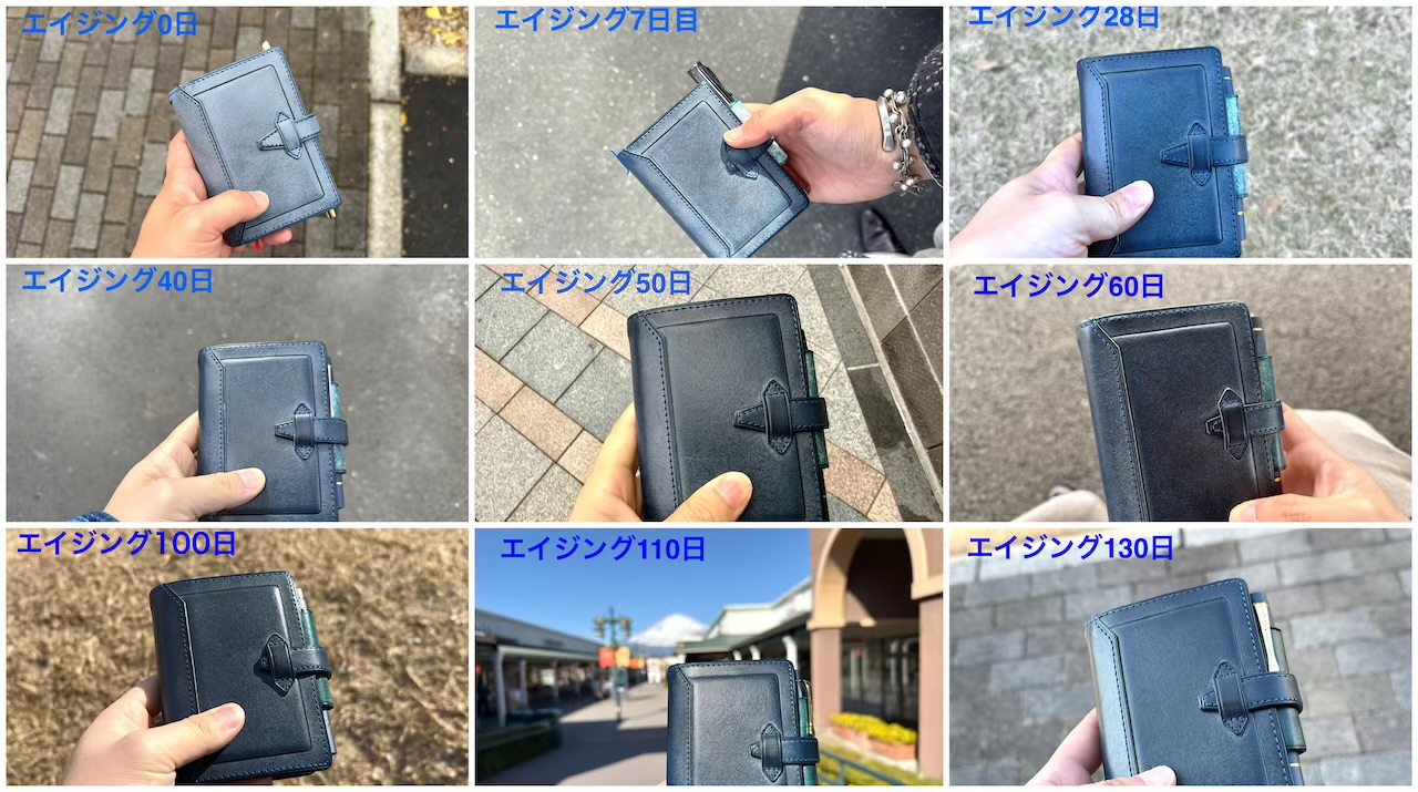 ロロマクラシックの経年変化記録まとめ