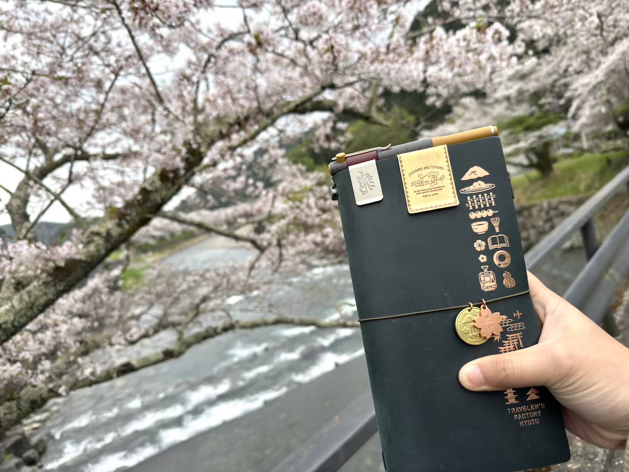 トラベラーズノート京都エディションと桜