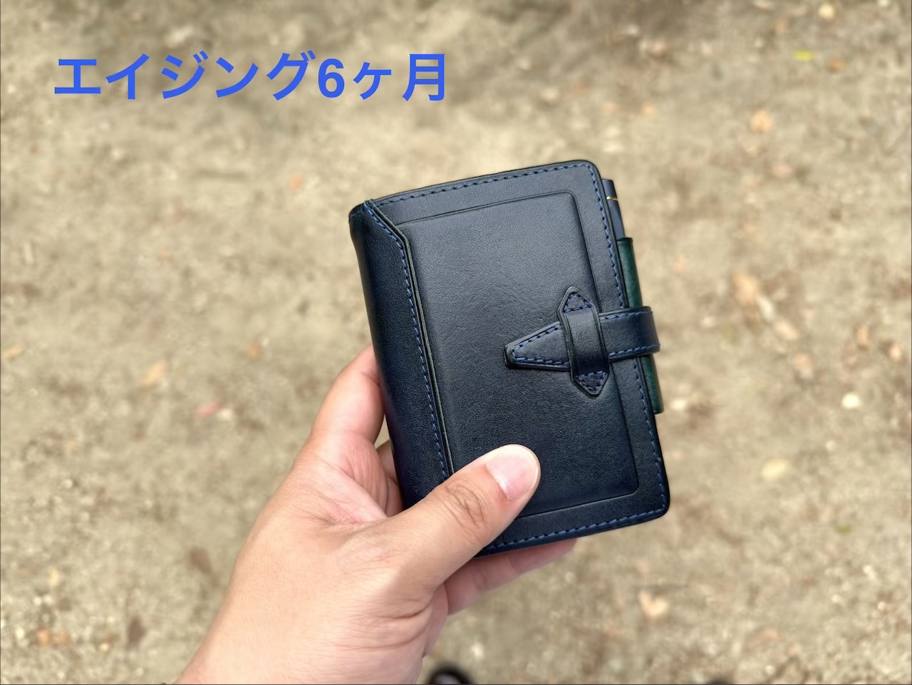 エイジング約半年のロロマクラシック